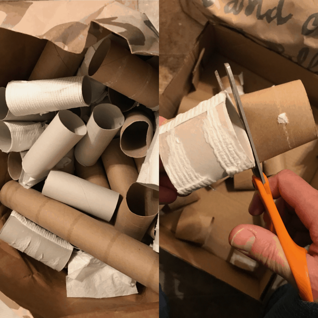 Toilet Paper Rolls Cache