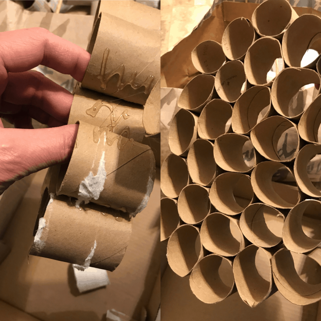 Final Toilet Paper Roll Grid