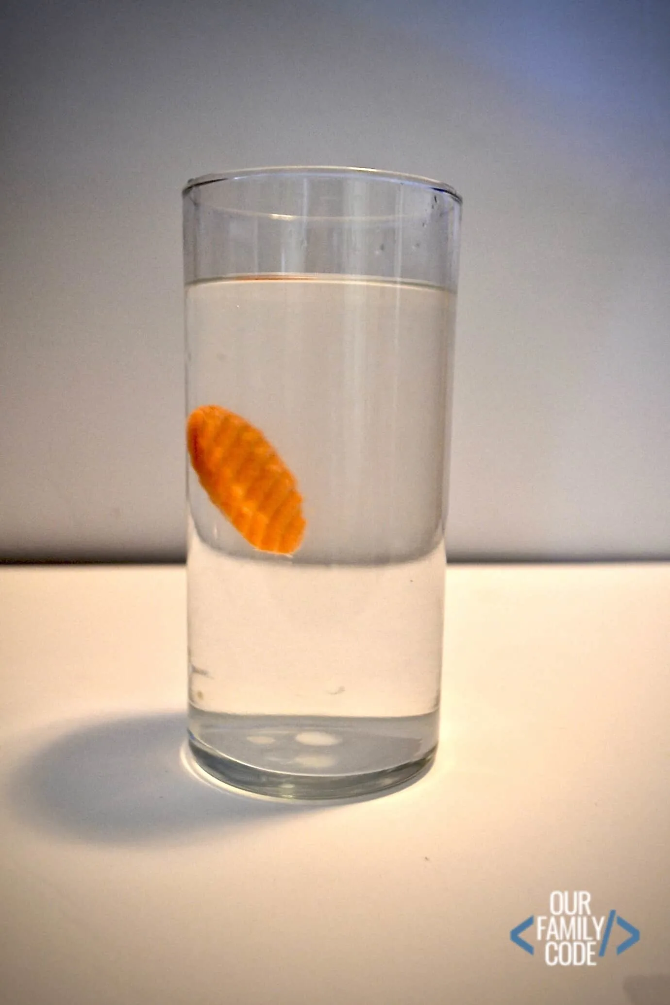 Balancing a Carrot in Salt Water Density Experiment