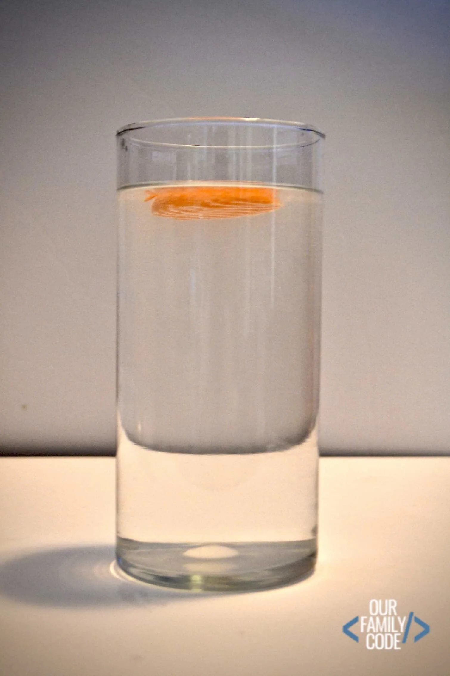Floating Carrot in Salt Water Experiment