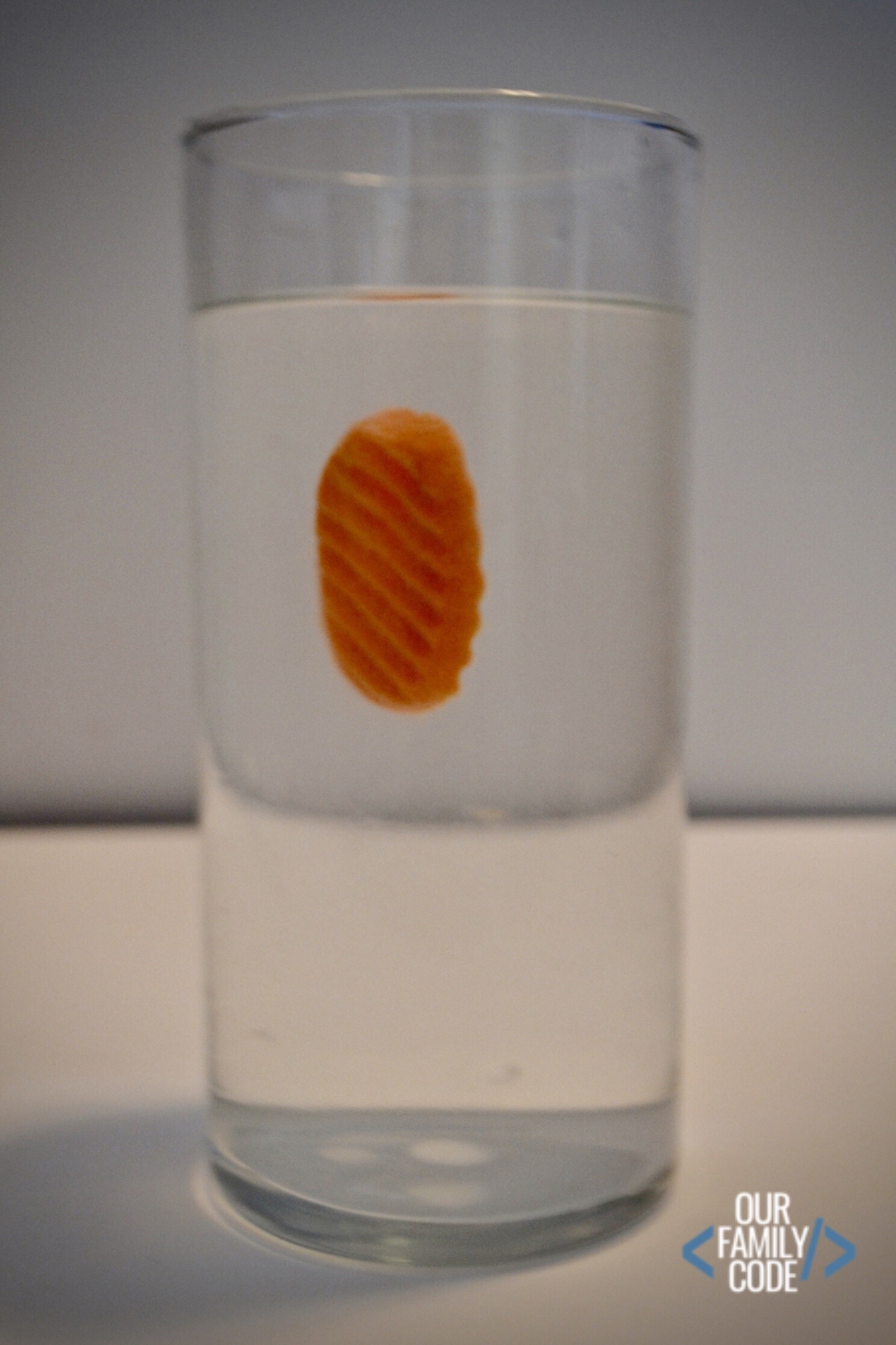 Hovering Carrot in Salt Water Density Experiment