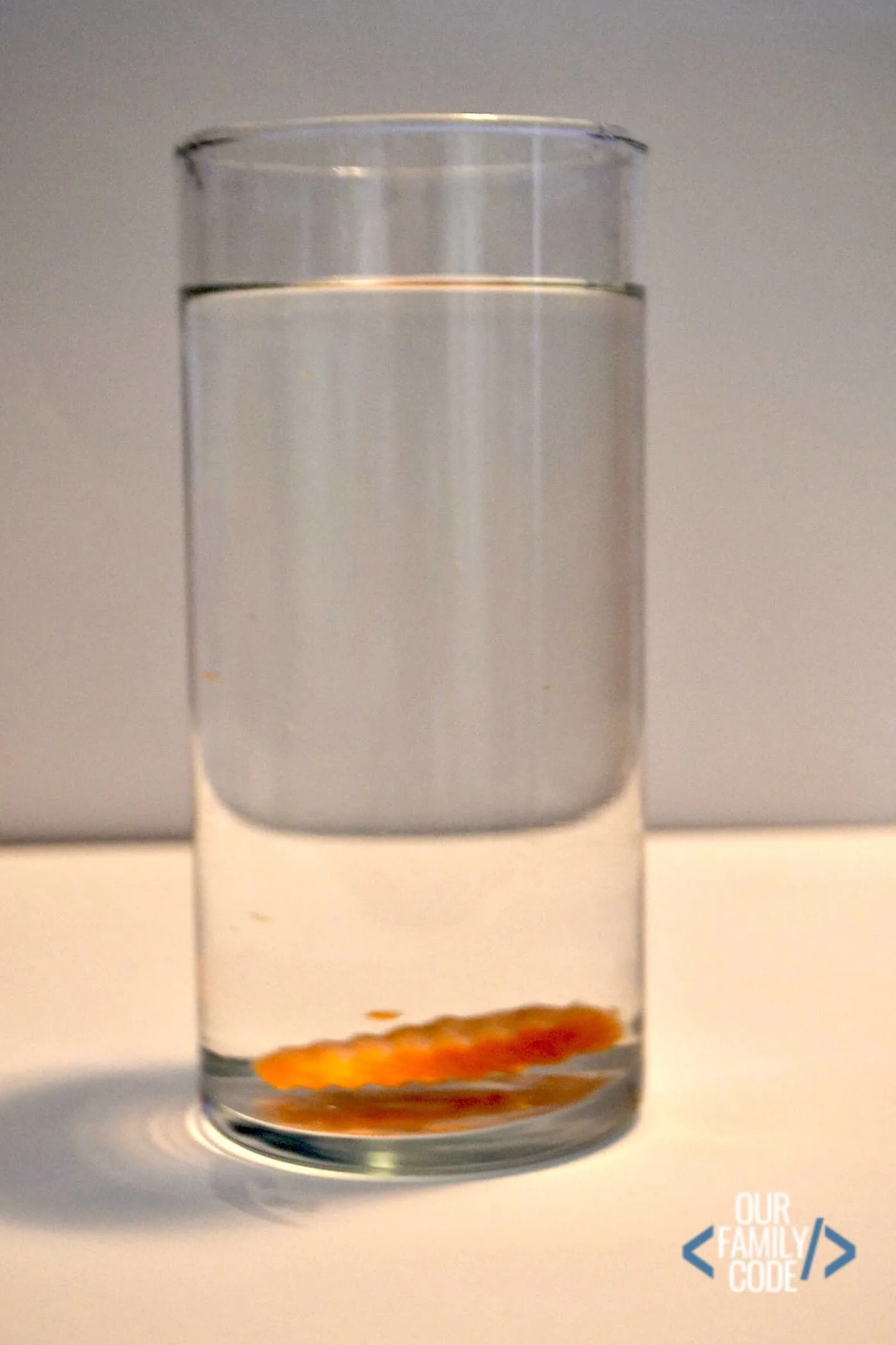 Sinking Carrot in Fresh Water Density Experiment