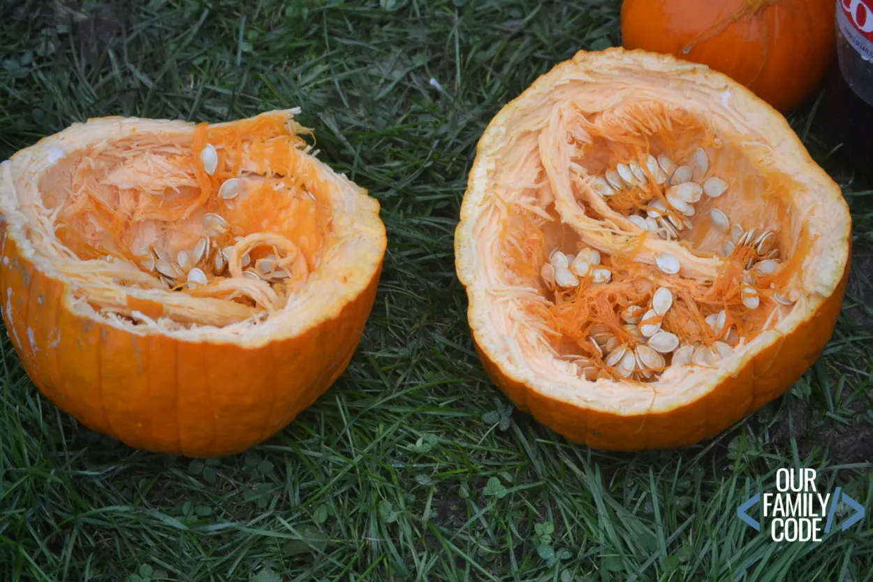 Exploding Pumpkin Halves