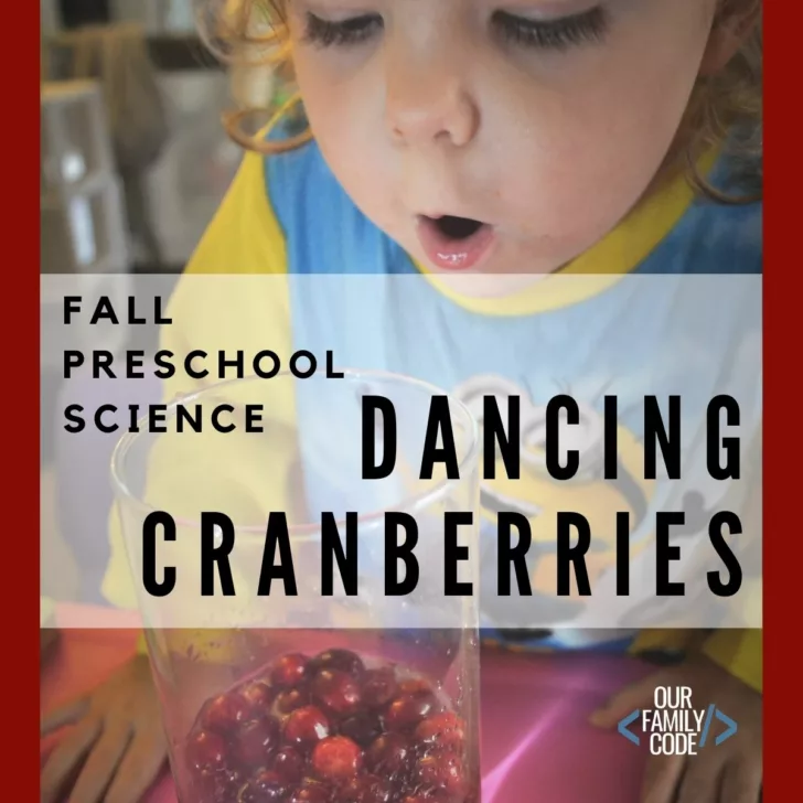 FI Dancing Cranberries fall preschool science activity