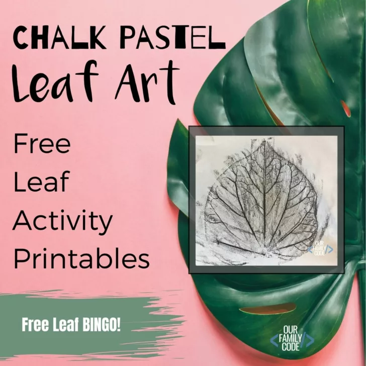 In this activity, our goal was to learn about and capture the nature and beauty of our leaves while exploring how our chosen medium (chalk pastels) interacts with different papers such as construction paper, watercolor paper, wax paper, aluminum foil, and parchment paper. #fallcrafts #STEAM #STEAMactivities #scienceforkids #naturewalk #leafart #leafscience #leafrubbings