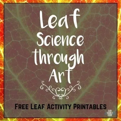 In this activity, our goal was to learn about and capture the nature and beauty of our leaves while exploring how our chosen medium (chalk pastels) interacts with different papers such as construction paper, watercolor paper, wax paper, aluminum foil, and parchment paper. #fallcrafts #STEAM #STEAMactivities #scienceforkids #naturewalk #leafart #leafscience #leafrubbings