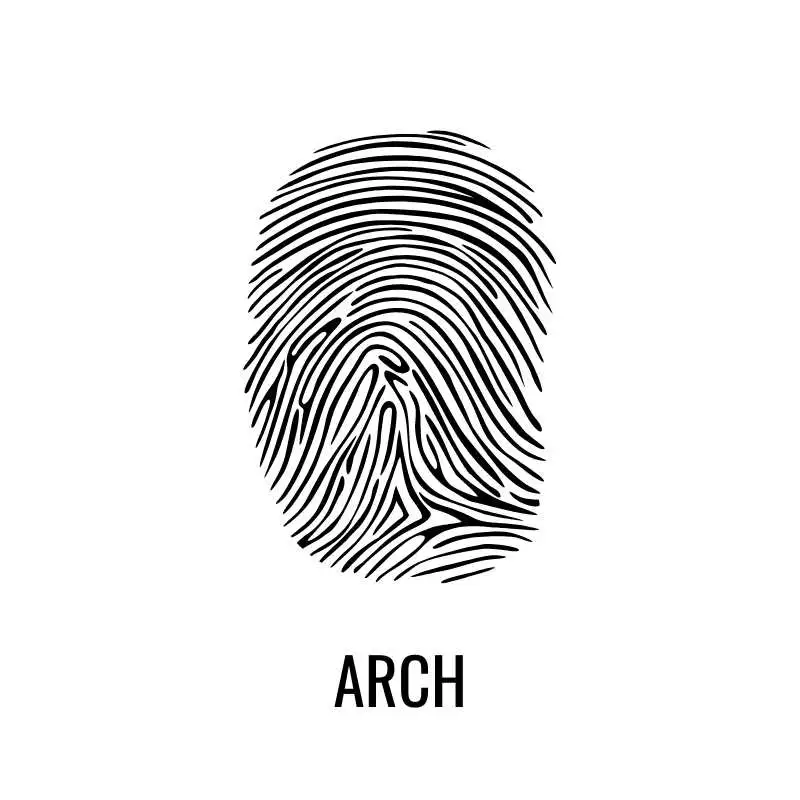 Fingerprint - Arch