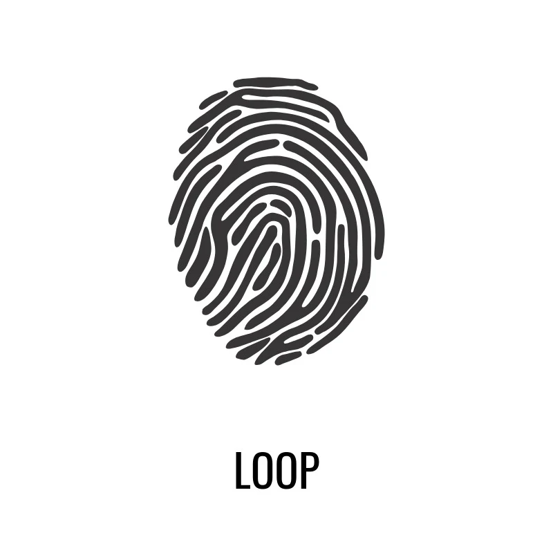 Fingerprint - Loop