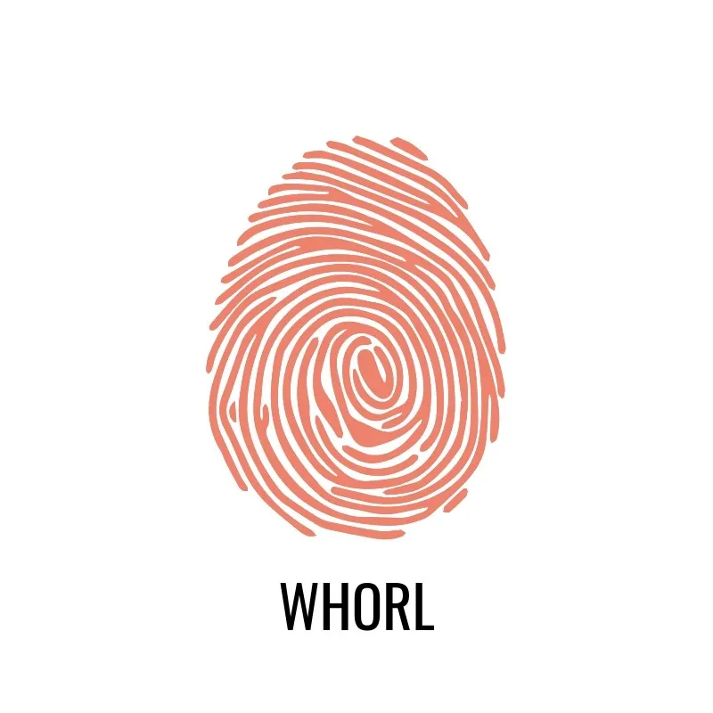 Fingerprint - Whorl