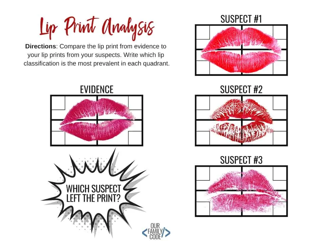 Lip Print steam forensic science Analysis Worksheet