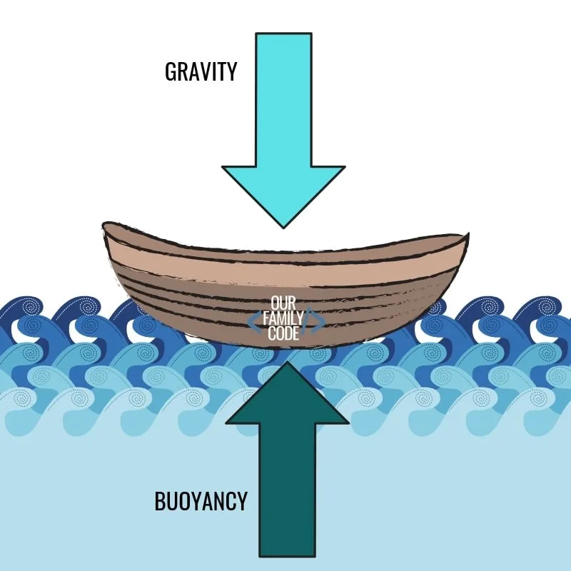 Whatever Floats Your Boat Gravity Buoyancy Challenge