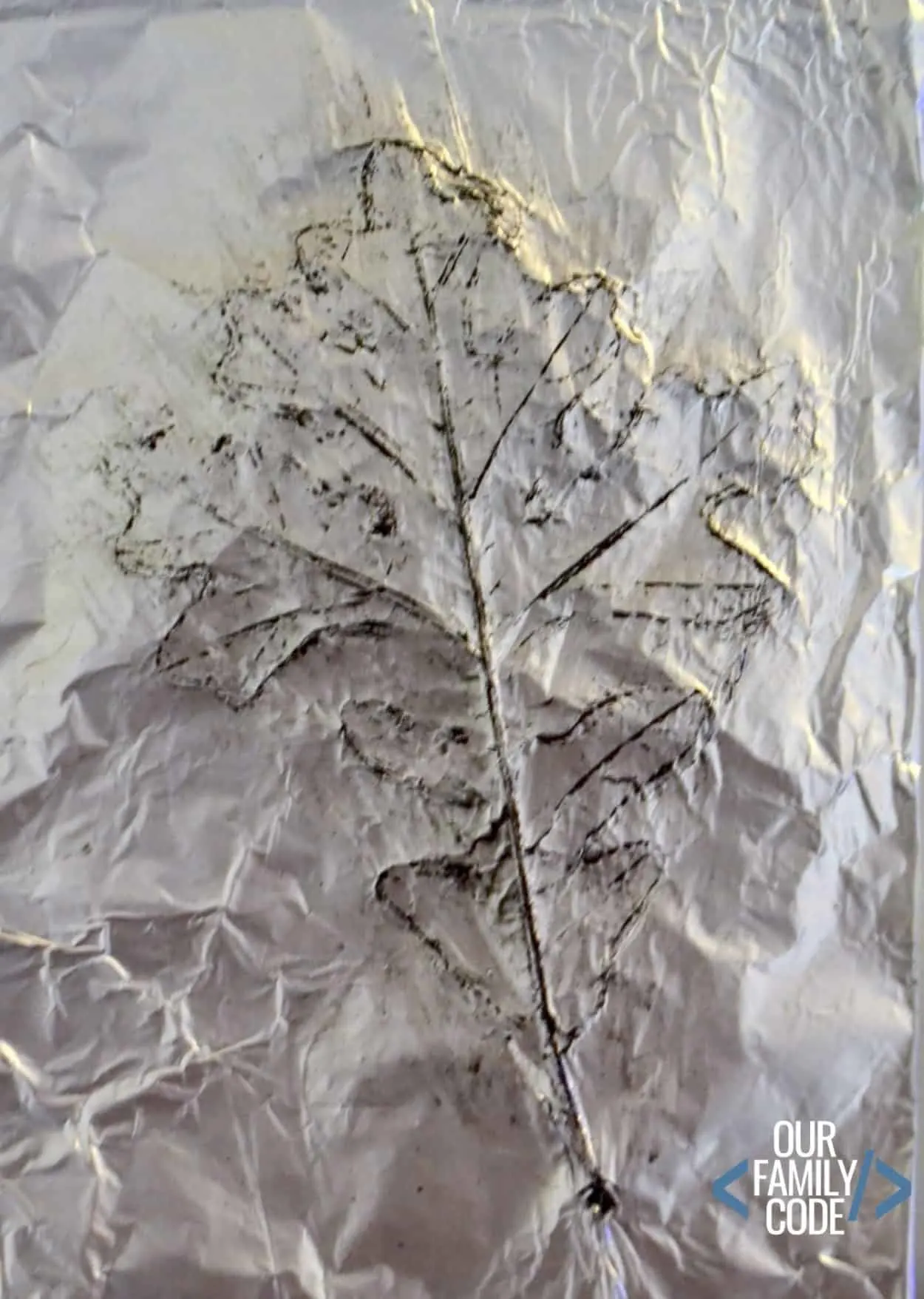 aluminum foil leaf rubbing