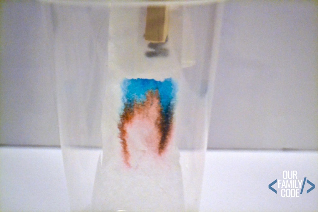 Chromatography Experiment Forensic Science for Kids Our Family Code