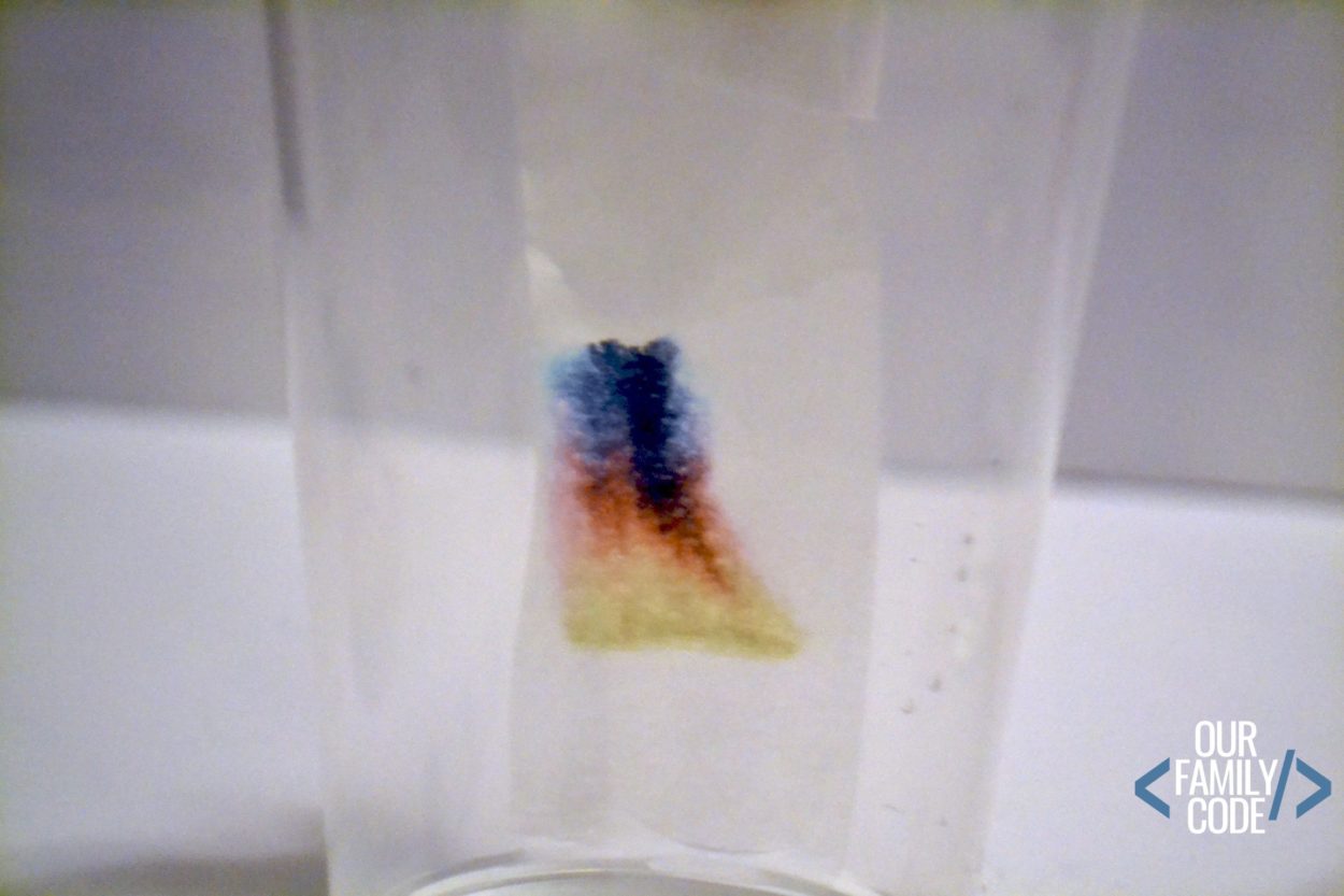 chromatography for kids