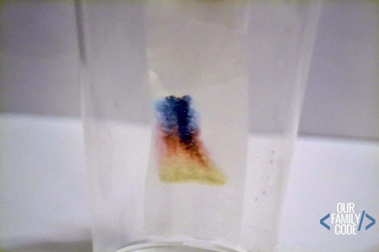 chromatography for kids