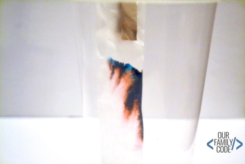 Chromatography Experiment Forensic Science for Kids Our Family Code