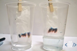 Chromatography Experiment: Forensic Science for Kids | Our Family Code
