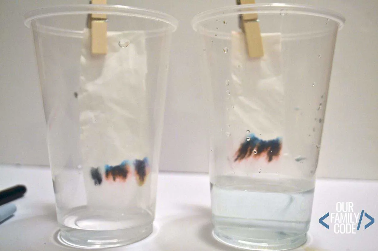 Learn how forensic scientists use chromatography to solve cases with this fun activity for kids!! #STEAMkids #STEAMactivities #STEM #scienceactivitiesforkids #CSIKids #chromatography