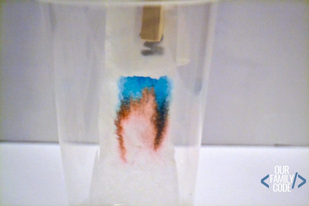Learn how forensic scientists use chromatography to solve cases with this fun activity for kids!!