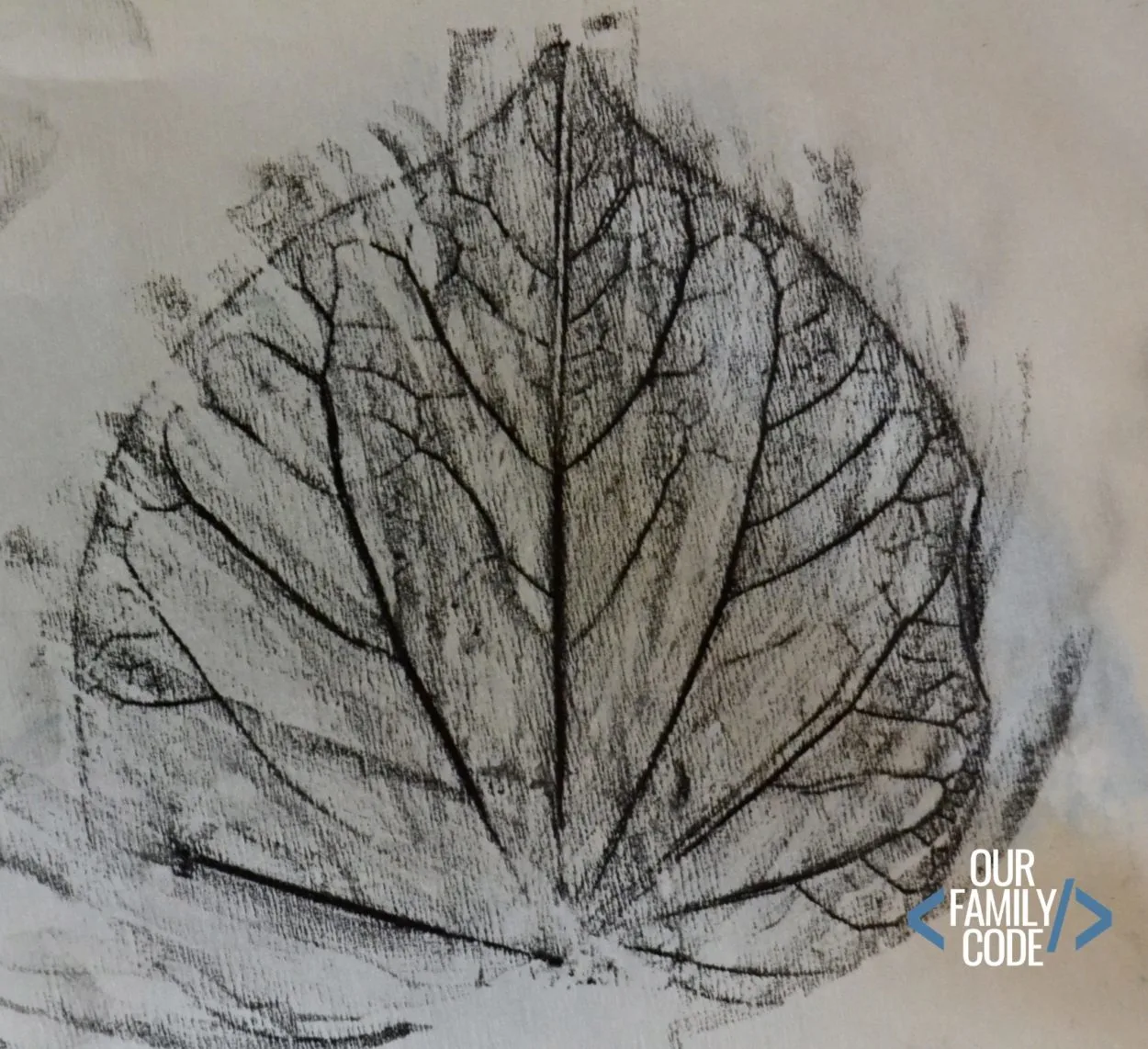 leaf rubbing 2