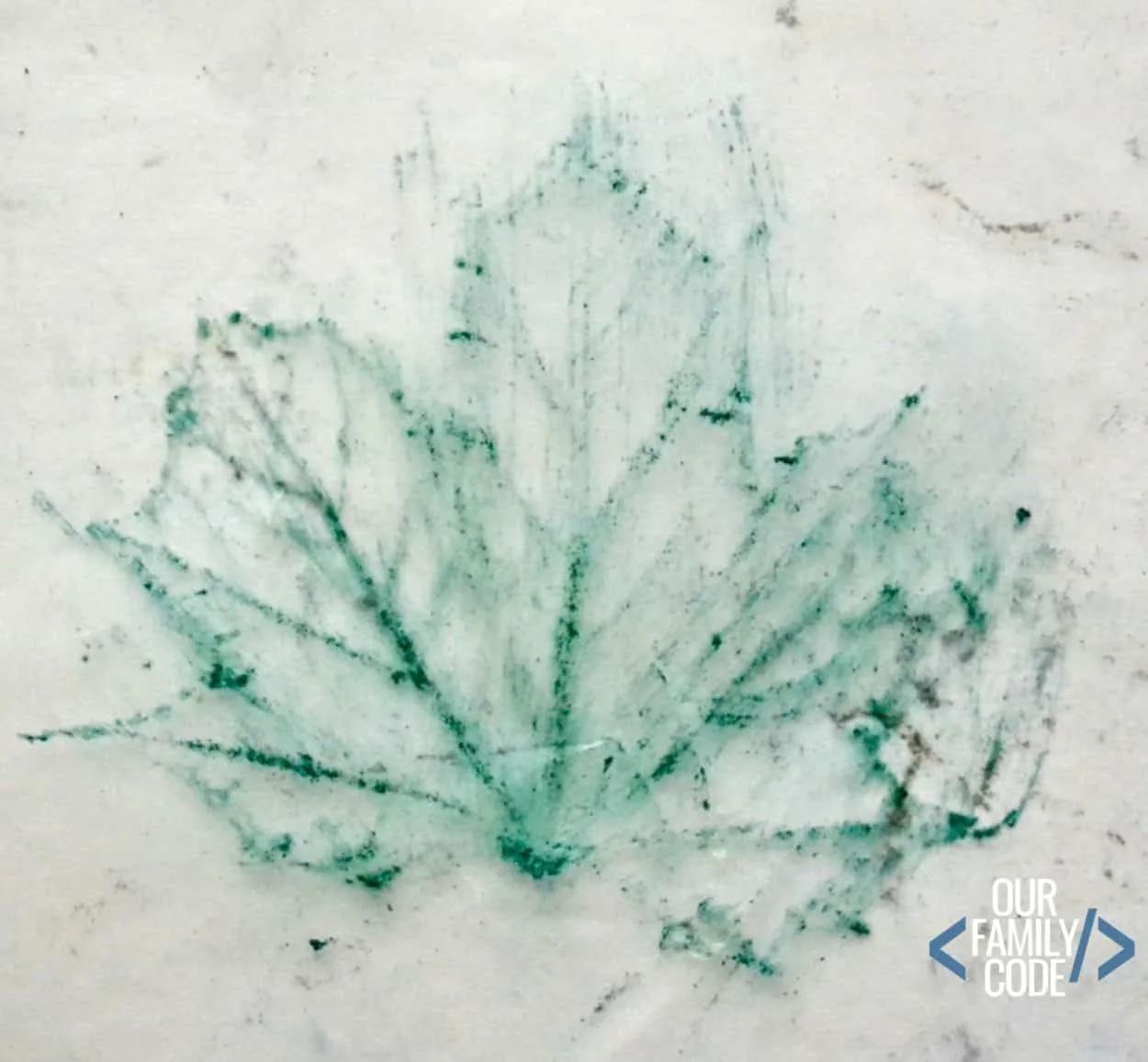 leaf rubbing on wax paper