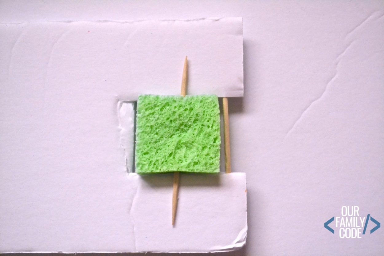 surface tension soap boat toothpick sponge