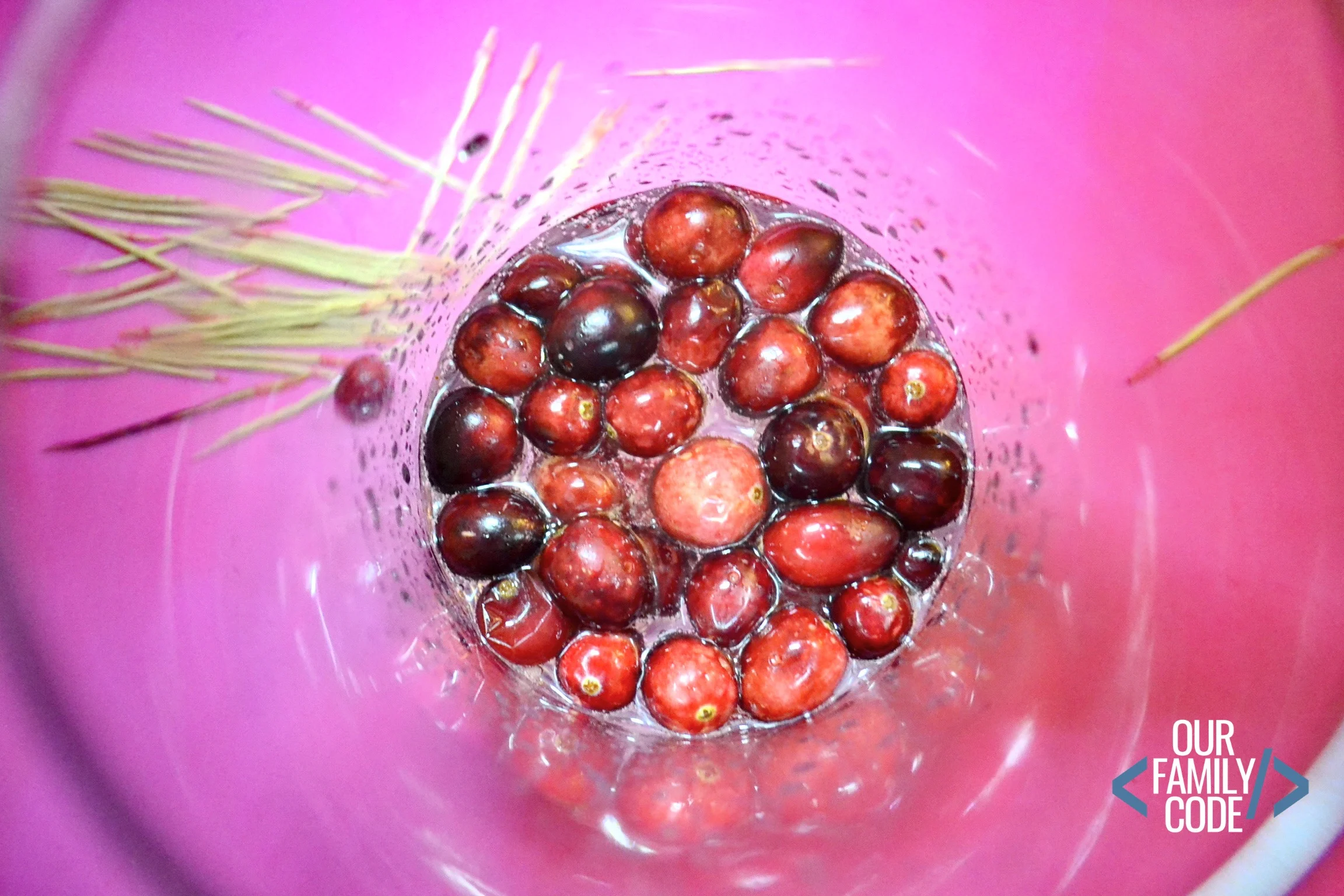 toddler preschool cranberry experiment