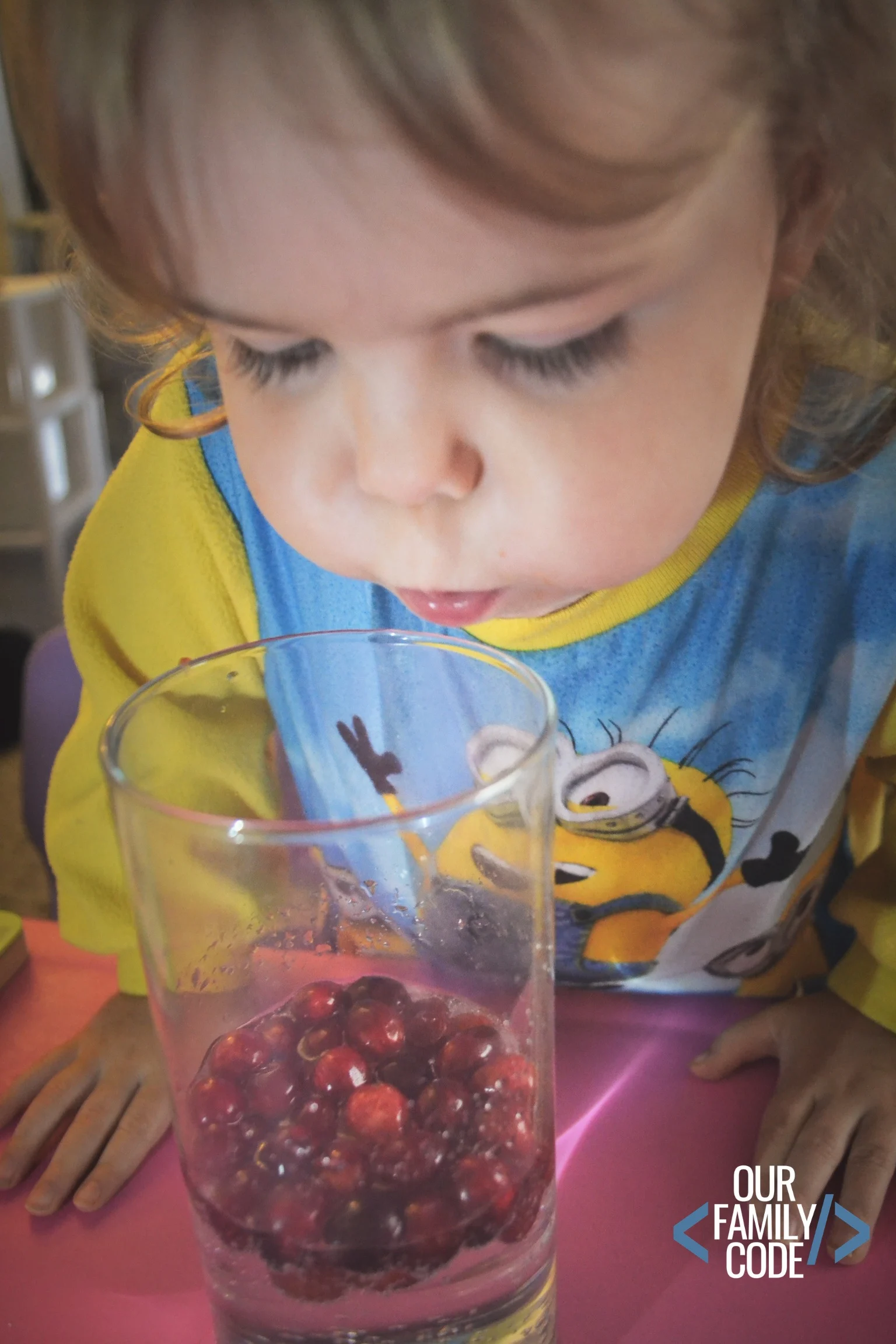 toddler preschool cranberry experiment