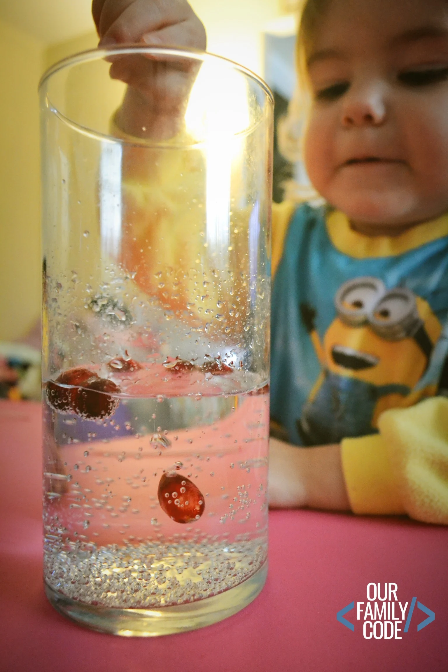 toddler preschool cranberry experiment