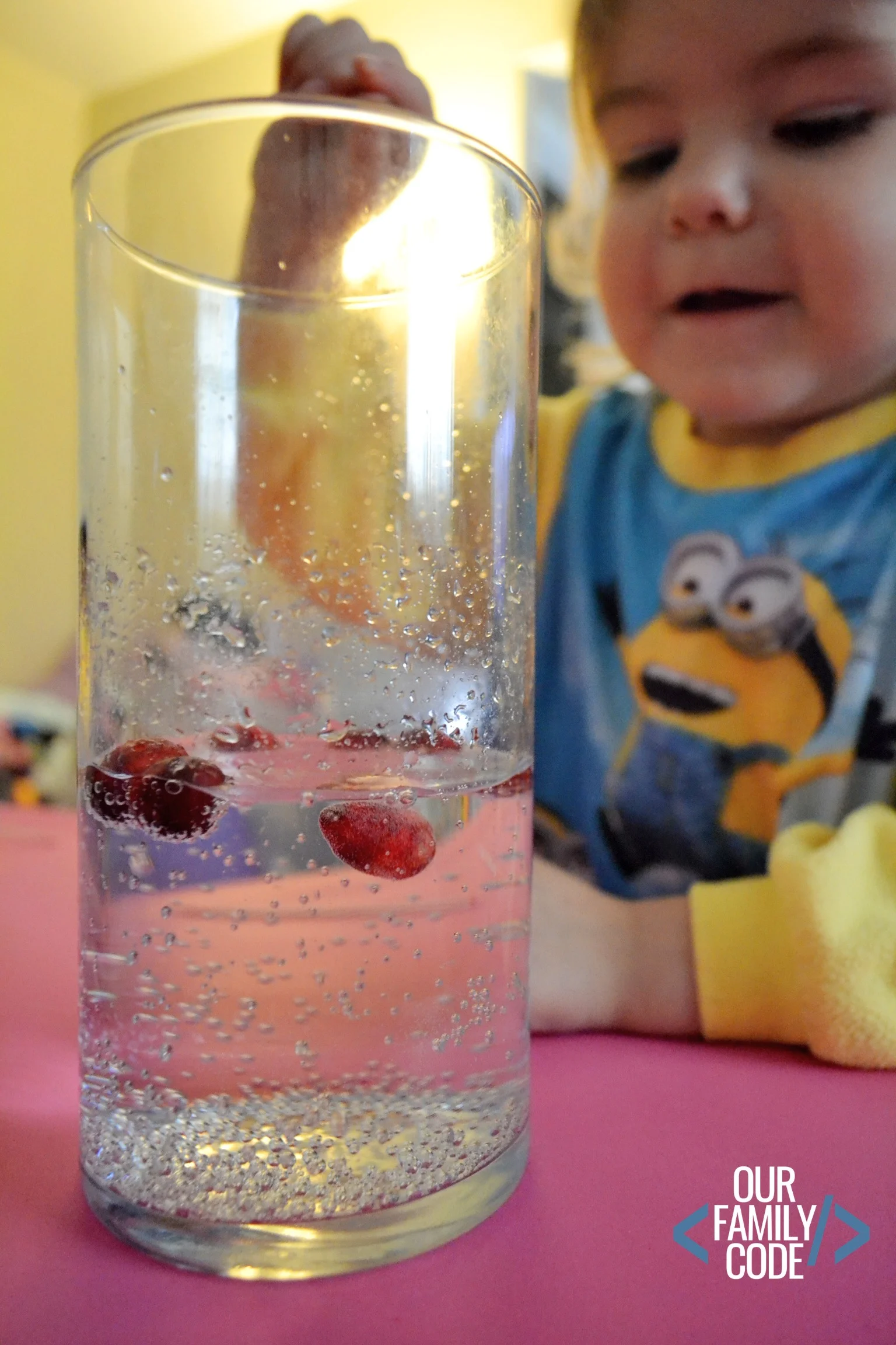 toddler preschool cranberry experiment