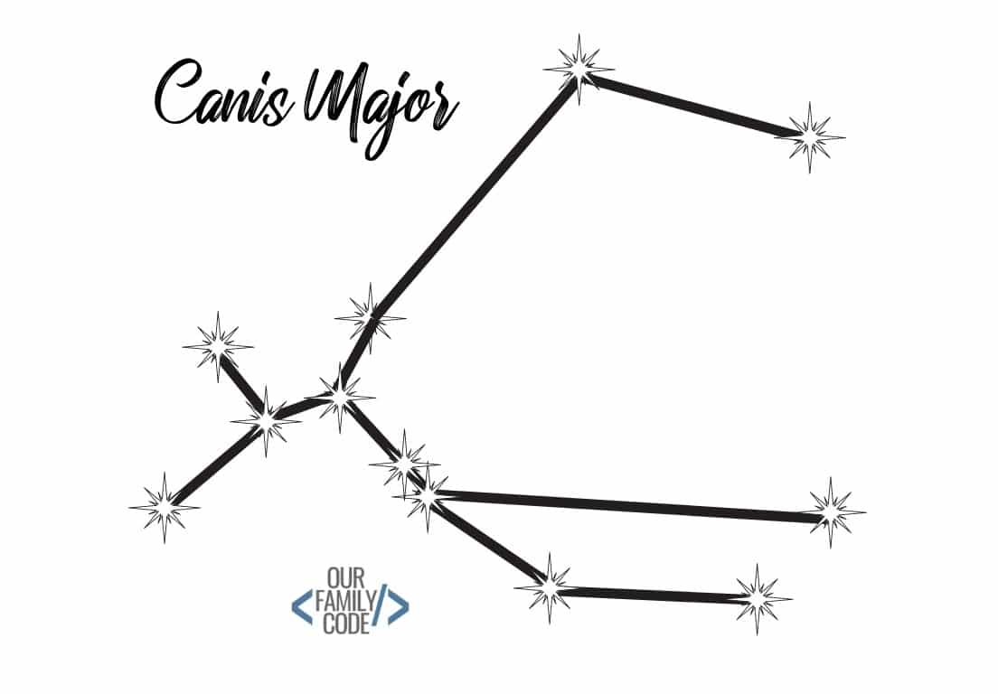 Constellation Activity Canis Major