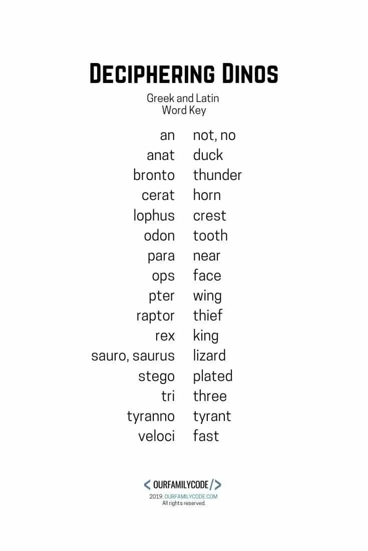 deciphering dinosaurs greek and latin dinosaur word activity latin greek word key