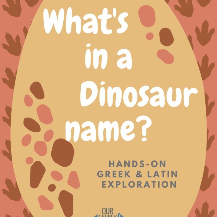 whats in a dinosaur name This Magic Tree House activity explores dinosaur names by breaking them down into the latin and greek words that are used to form them.