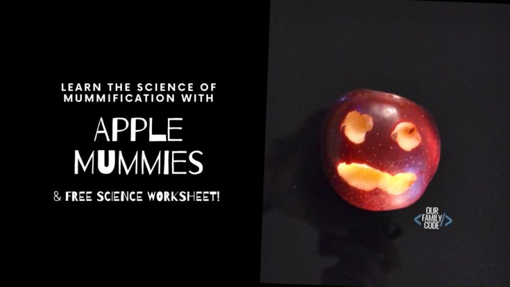 BH FB apple mummies science This Spooky Ghost Sounds STEM Halloween Activity is a fanastic way to incorporate a simple physics experiment with some Halloween fun!