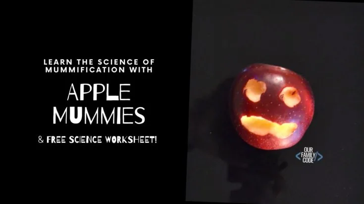 BH FB apple mummies science This Spooky Ghost Sounds STEM Halloween Activity is a fanastic way to incorporate a simple physics experiment with some Halloween fun!