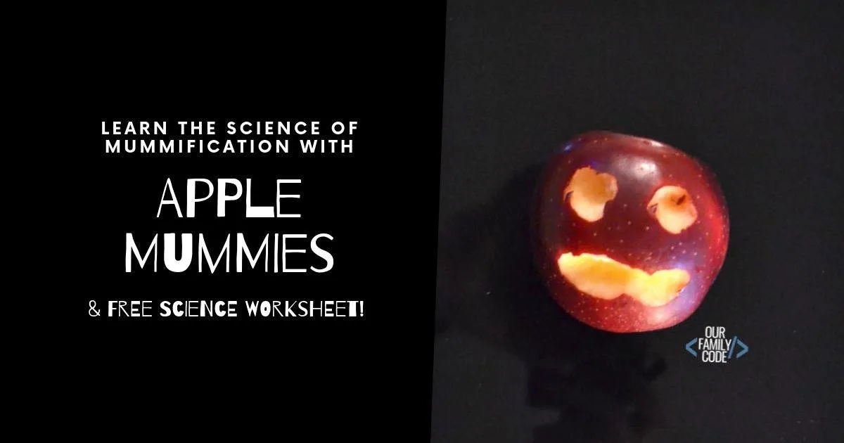 apple mummies experiment