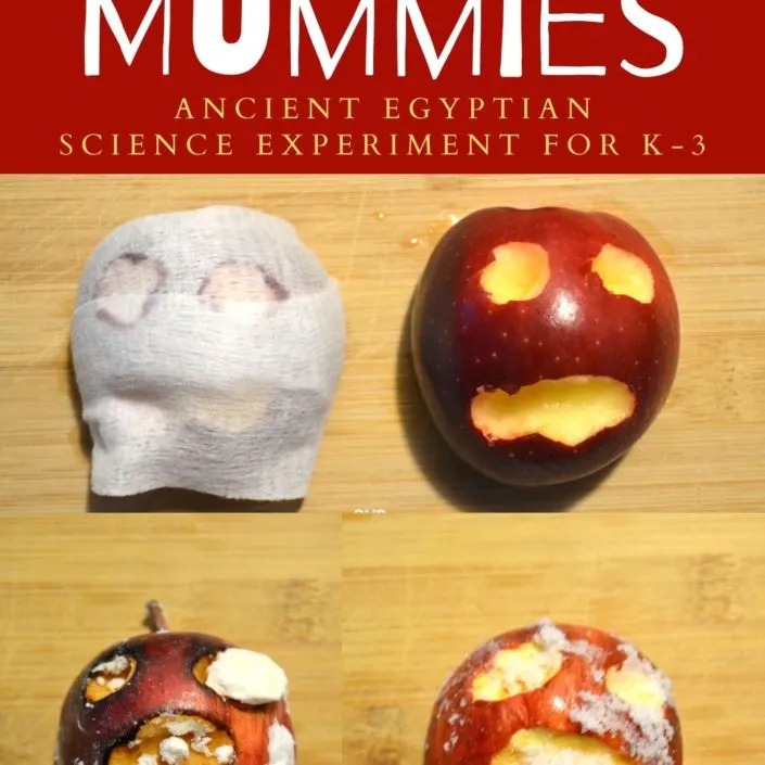 apple mummies ancient egyptian science experiment Learn about mummification by making apple mummies with this Ancient Egypt science experiment!