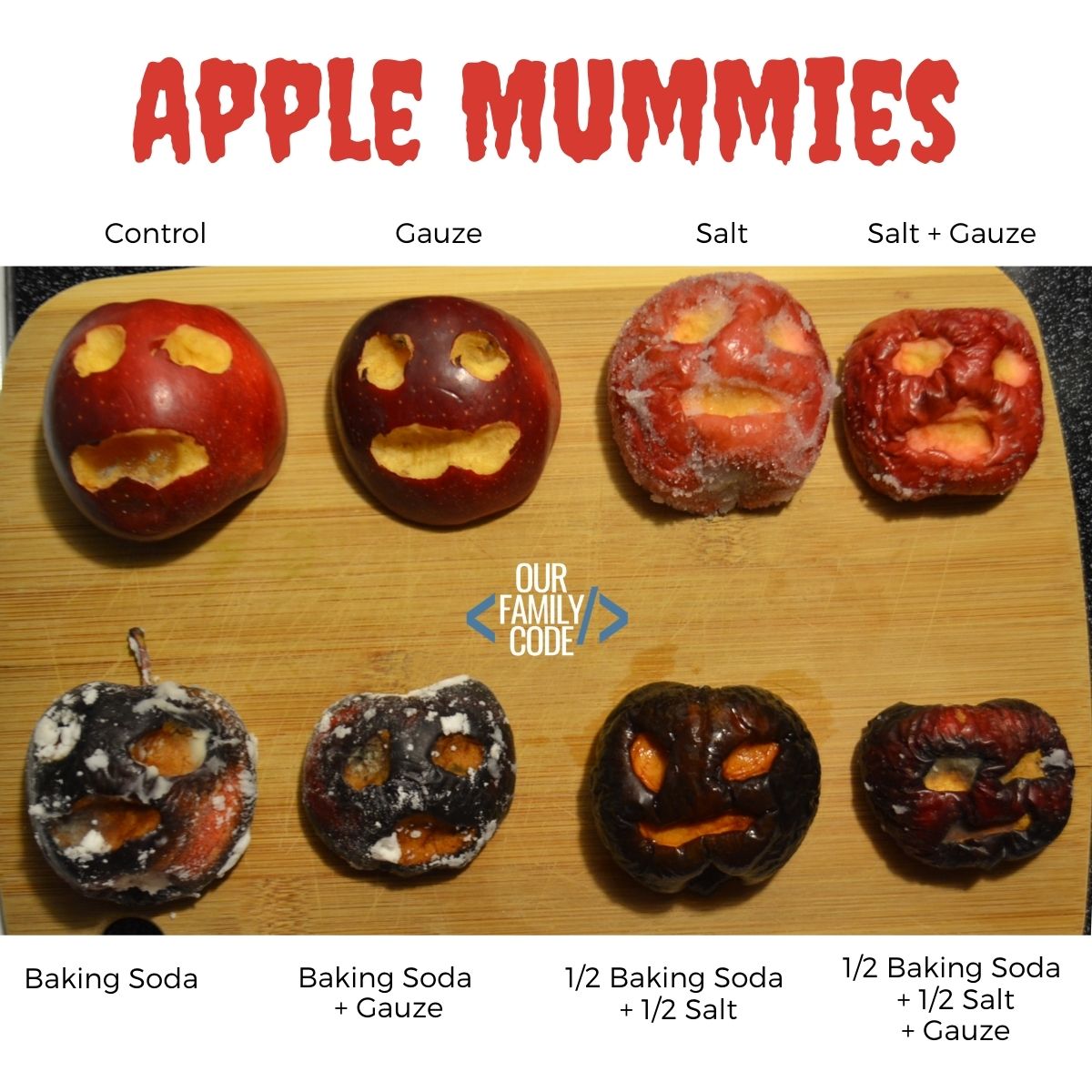 A picture of apple mummies results with 8 shriveled apple mummies.