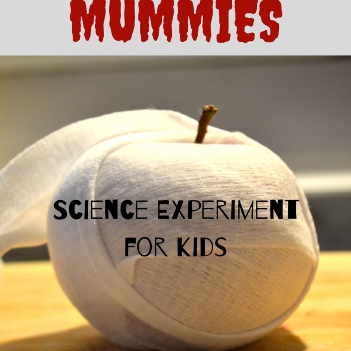 apple mummies science experiment for kids Learn about mummification by making apple mummies with this Ancient Egypt science experiment!