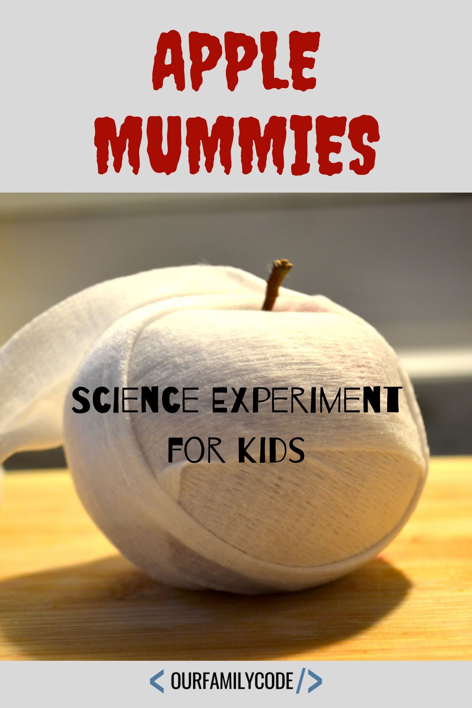 Learn the Science of Mummification with Apple Mummies - Our Family Code