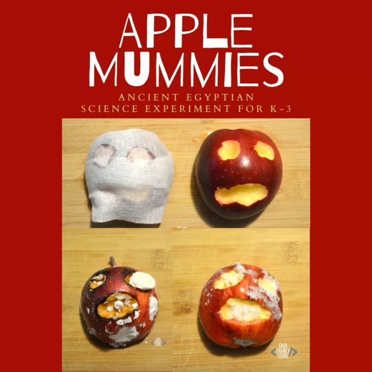 apple mummies