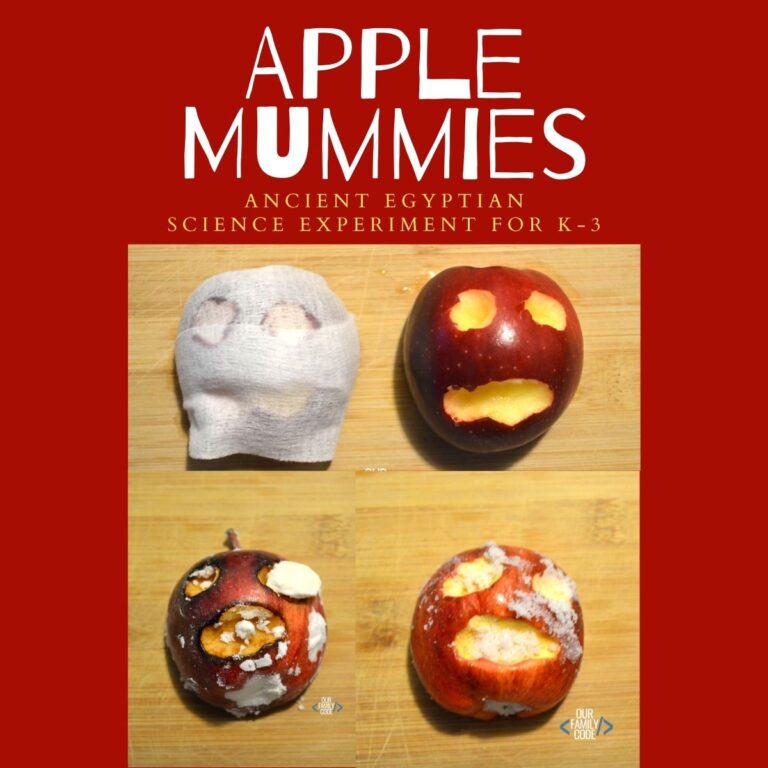 Apple mummification experiment for kids using salt and baking soda
