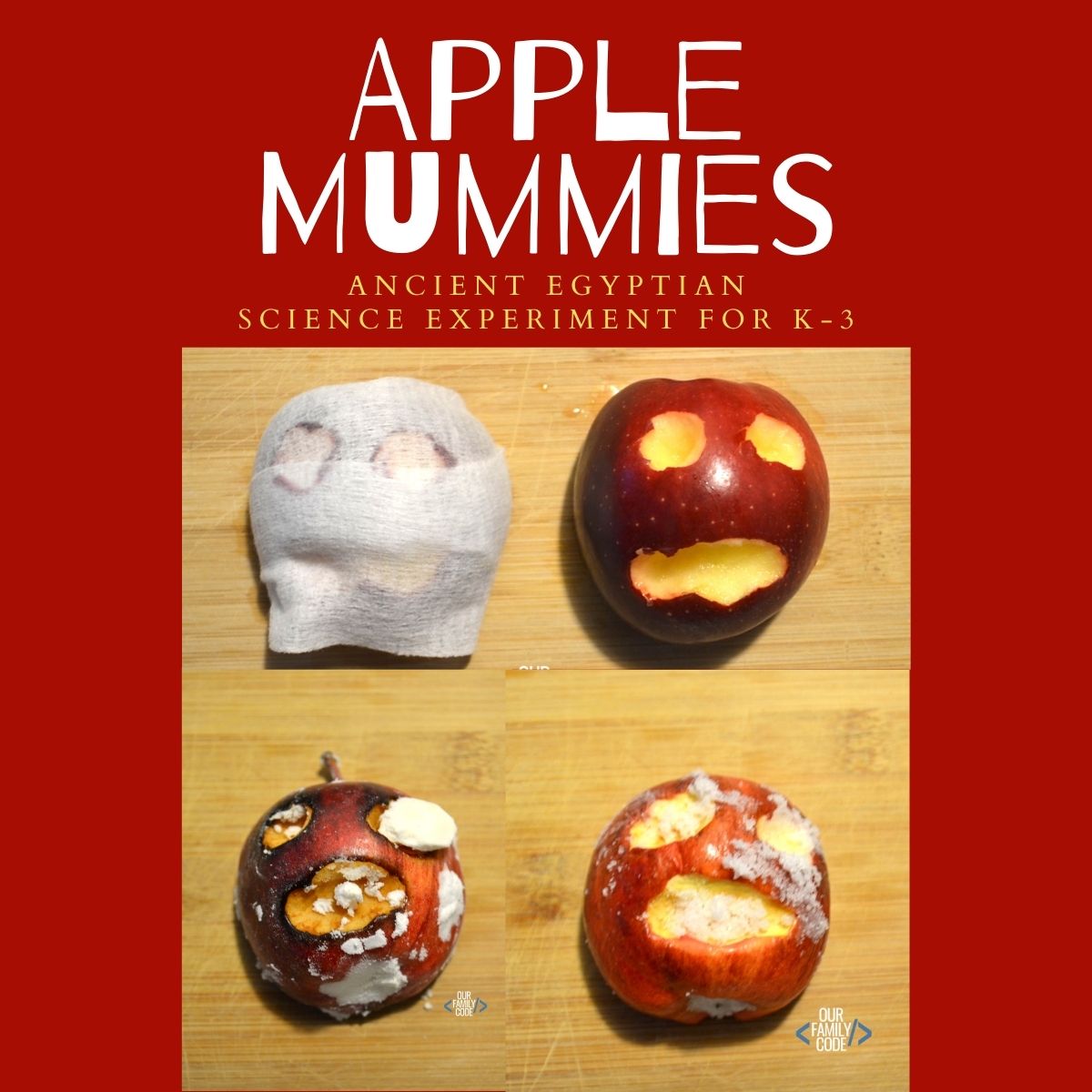 Learn the Science of Mummification with Apple Mummies fi apple mummies ancient egyptian science Learn the Science of Mummification with Apple Mummies