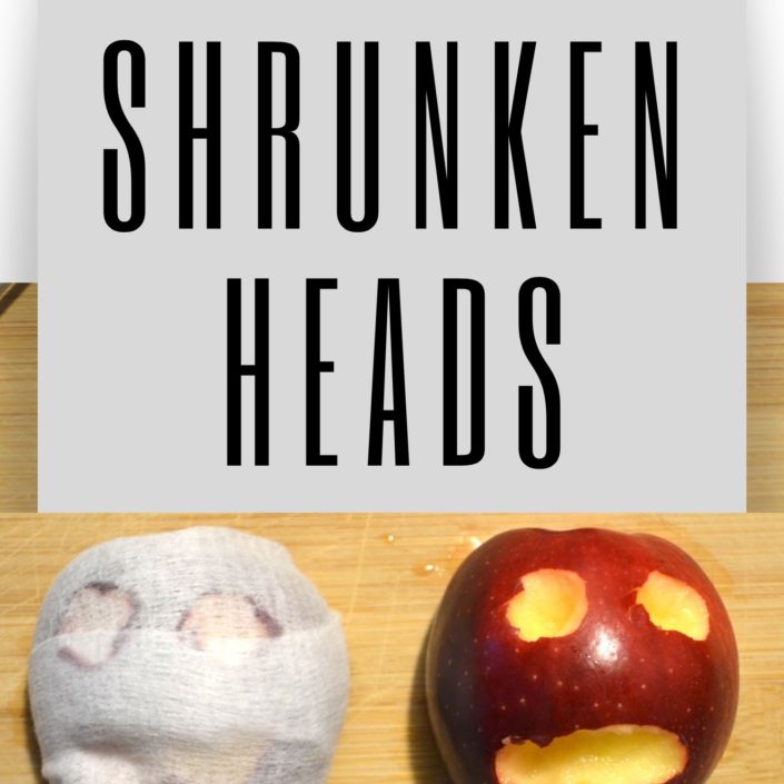 how to make apple mummy shrunken heads Learn about mummification by making apple mummies with this Ancient Egypt science experiment!