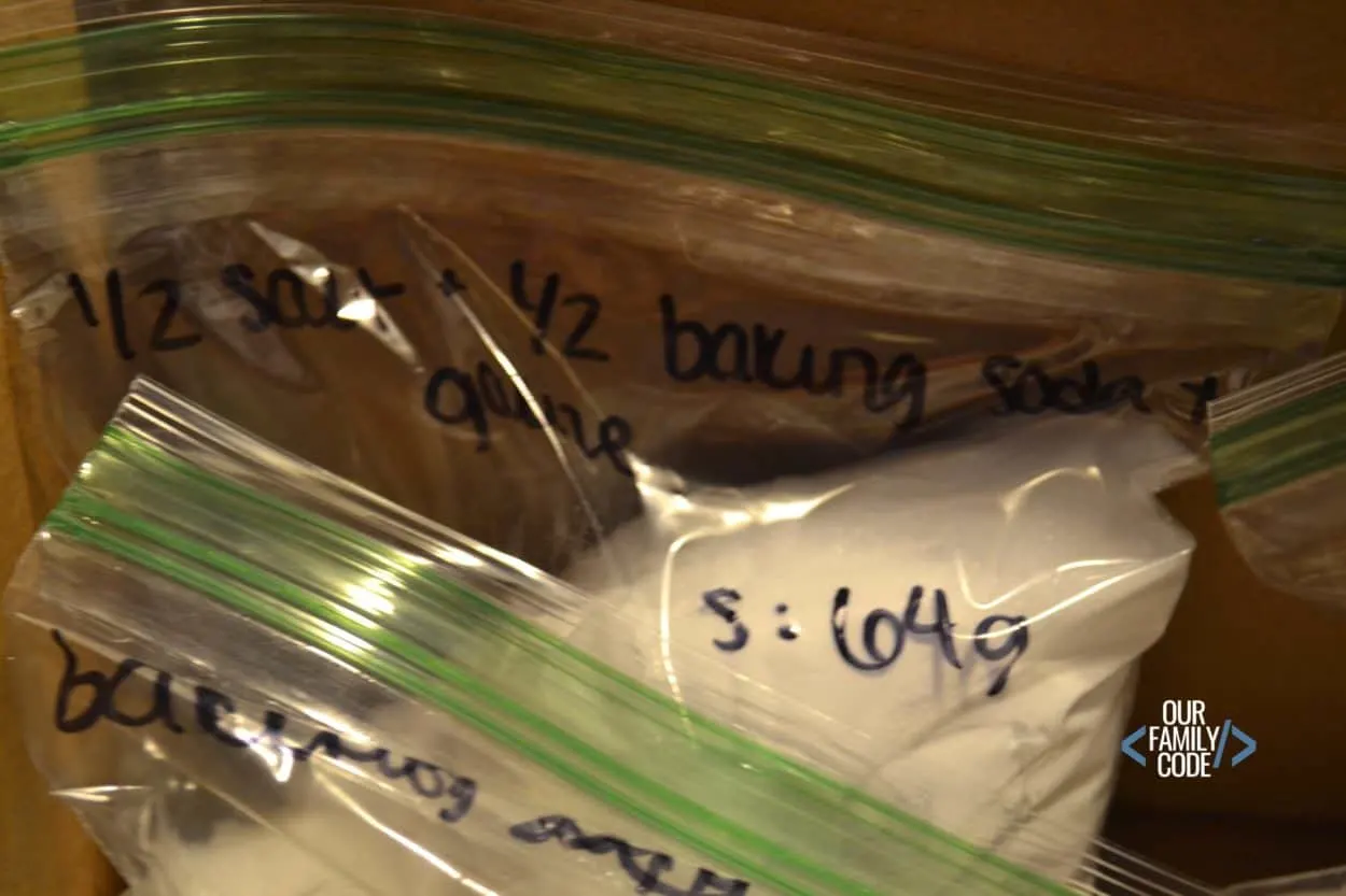 A picture of sandwich bags labeled with apple mummies weight.