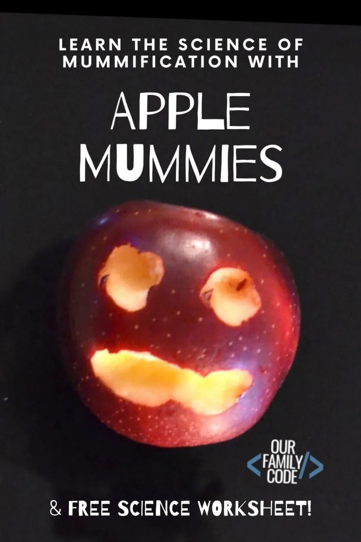 science of mummification with apple mummies Check out these hands-on Magic Tree House activities! Grab a book and download an activity for a reading and learning adventure today!
