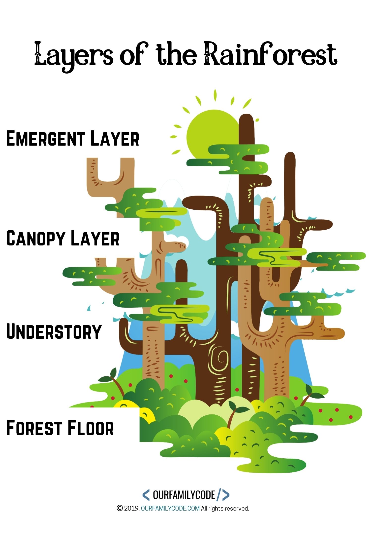 Layers of the Rainforest plain graphic unplugged coding activity