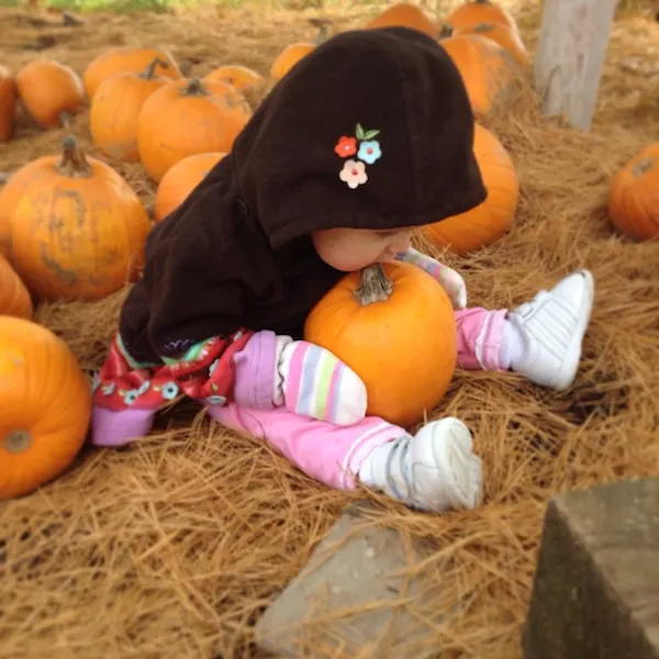 5 senses preschool pumpkin science
