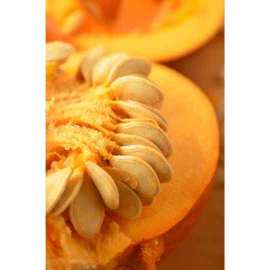 inside of pumpkin row of seeds
