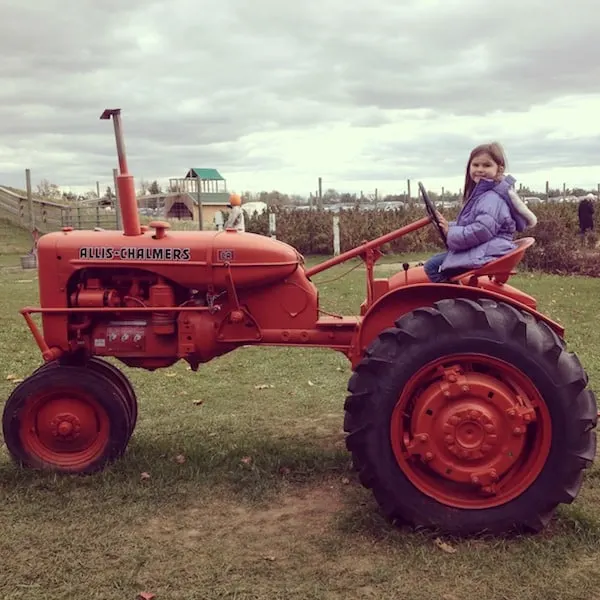 Peyton tractor pumpkin field